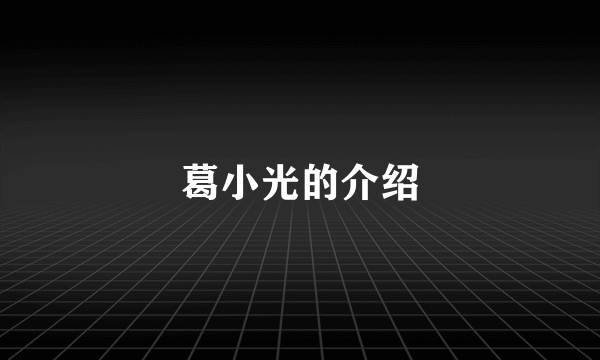 葛小光的介绍