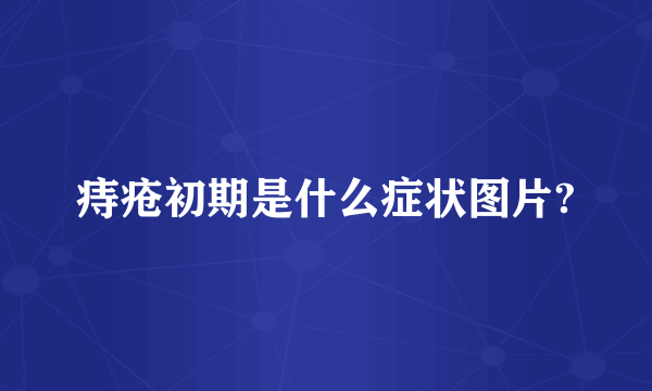 痔疮初期是什么症状图片?