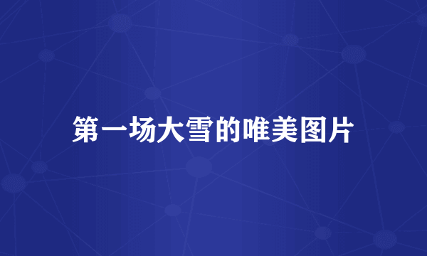 第一场大雪的唯美图片