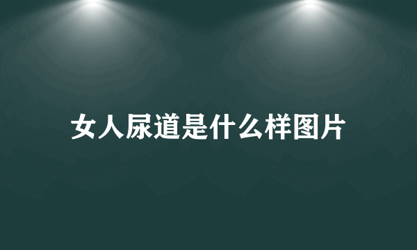 女人尿道是什么样图片