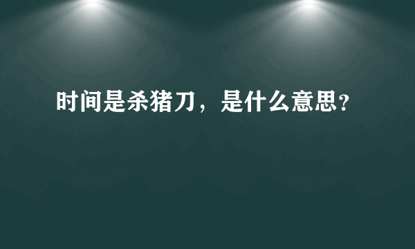时间是杀猪刀，是什么意思？