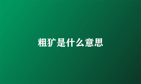 粗犷是什么意思