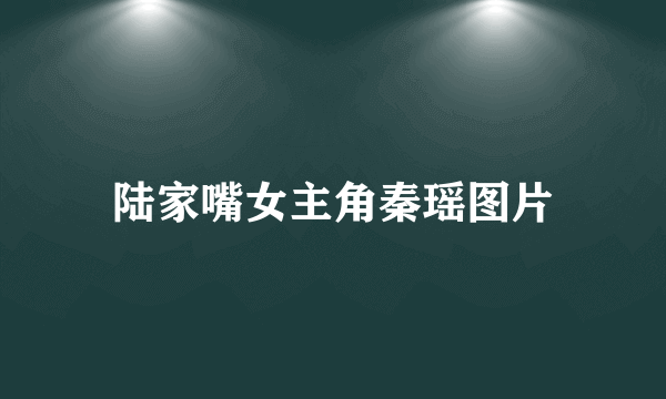 陆家嘴女主角秦瑶图片
