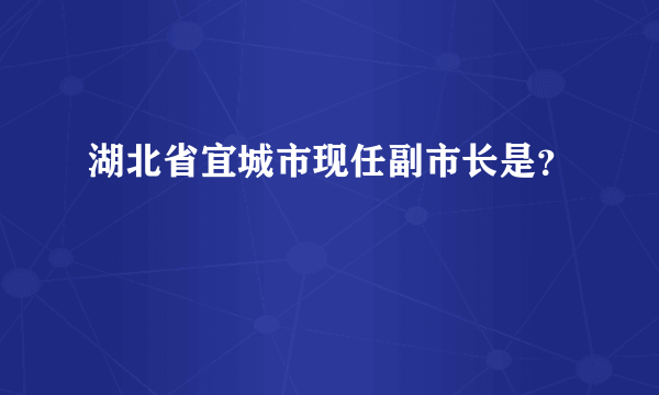 湖北省宜城市现任副市长是？