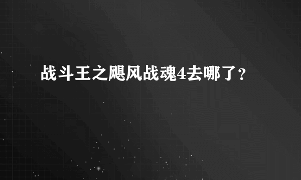 战斗王之飓风战魂4去哪了？