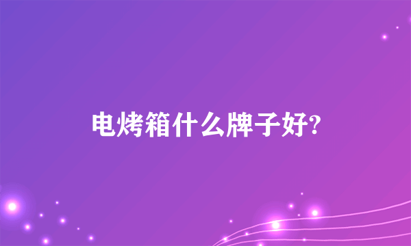 电烤箱什么牌子好?