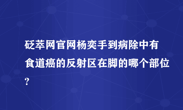 砭萃网官网杨奕手到病除中有食道癌的反射区在脚的哪个部位?