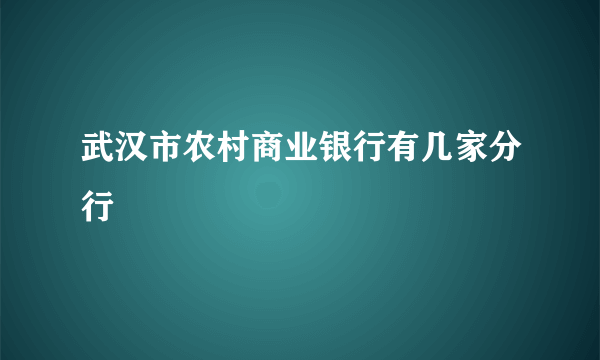 武汉市农村商业银行有几家分行