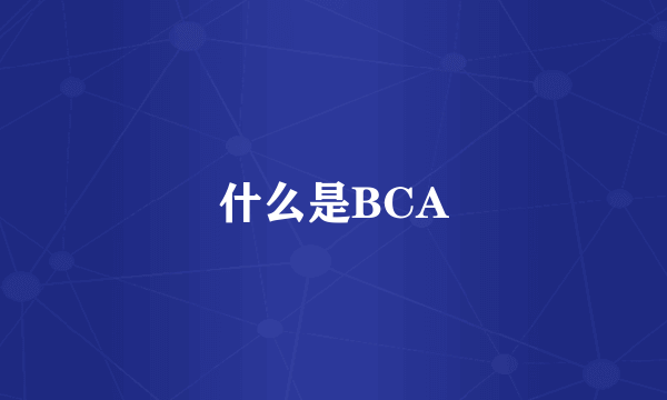 什么是BCA