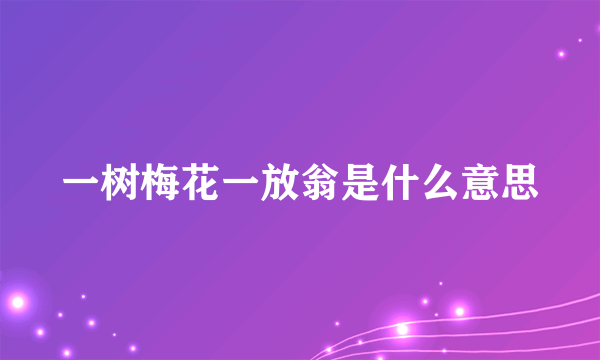 一树梅花一放翁是什么意思