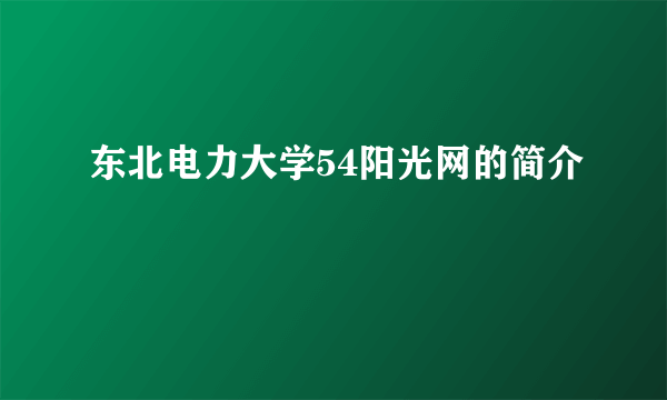 东北电力大学54阳光网的简介