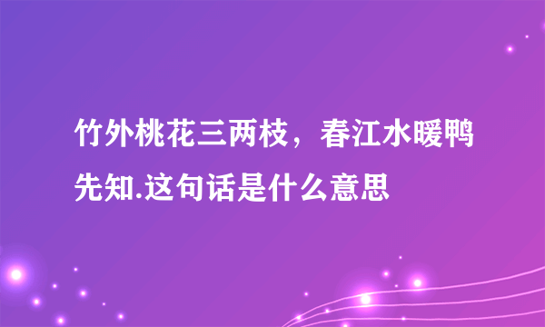 竹外桃花三两枝，春江水暖鸭先知.这句话是什么意思