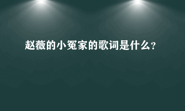 赵薇的小冤家的歌词是什么？