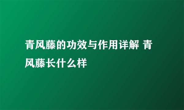 青风藤的功效与作用详解 青风藤长什么样