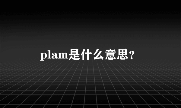 plam是什么意思？