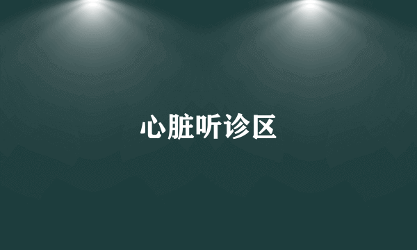 心脏听诊区