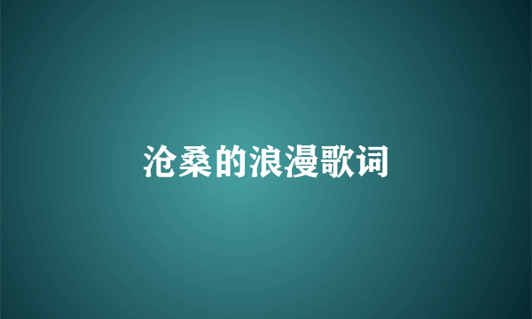 沧桑的浪漫歌词