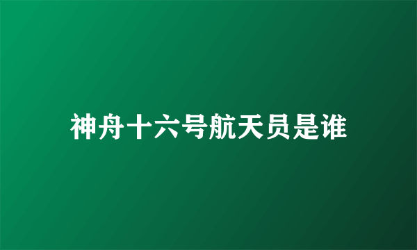 神舟十六号航天员是谁
