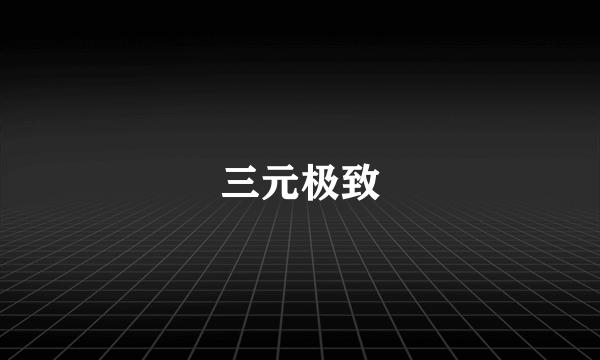 三元极致