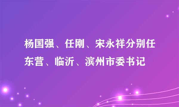 杨国强、任刚、宋永祥分别任东营、临沂、滨州市委书记
