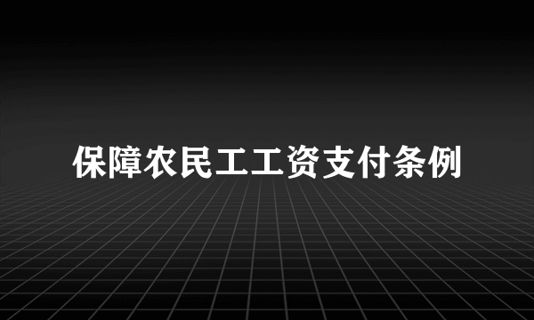 保障农民工工资支付条例