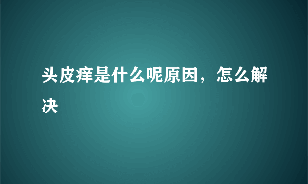 头皮痒是什么呢原因，怎么解决