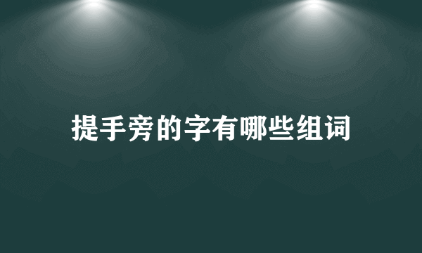 提手旁的字有哪些组词