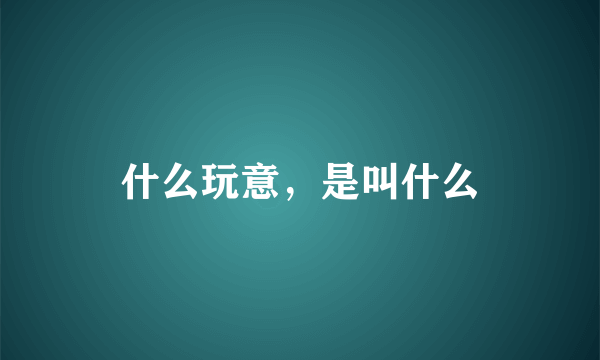 什么玩意，是叫什么