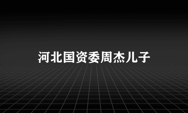 河北国资委周杰儿子