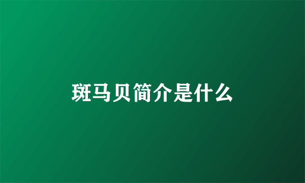 斑马贝简介是什么