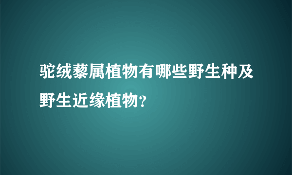驼绒藜属植物有哪些野生种及野生近缘植物？