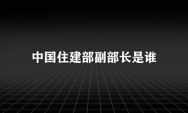 中国住建部副部长是谁