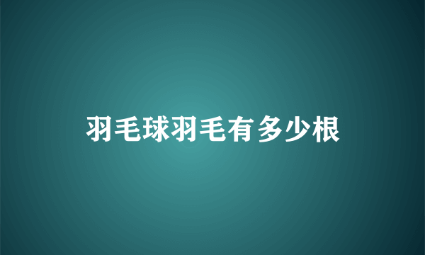 羽毛球羽毛有多少根