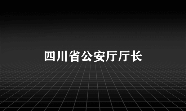 四川省公安厅厅长