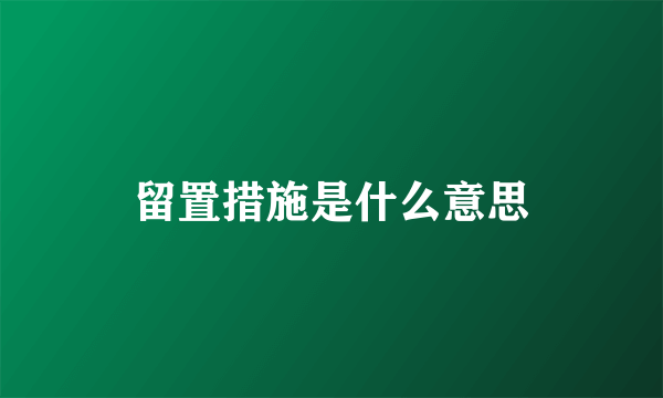 留置措施是什么意思