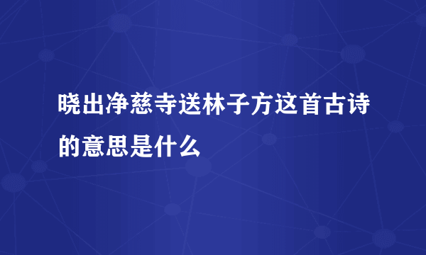 晓出净慈寺送林子方这首古诗的意思是什么