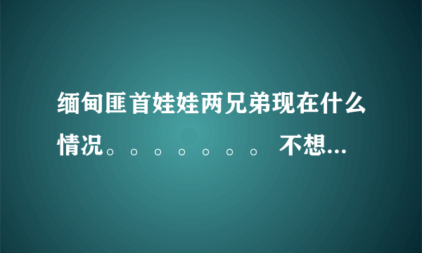 缅甸匪首娃娃两兄弟现在什么情况。。。。。。。 不想要复制的、、、