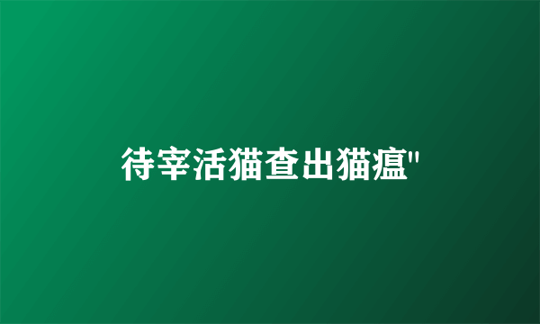 待宰活猫查出猫瘟