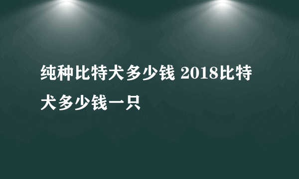 纯种比特犬多少钱 2018比特犬多少钱一只