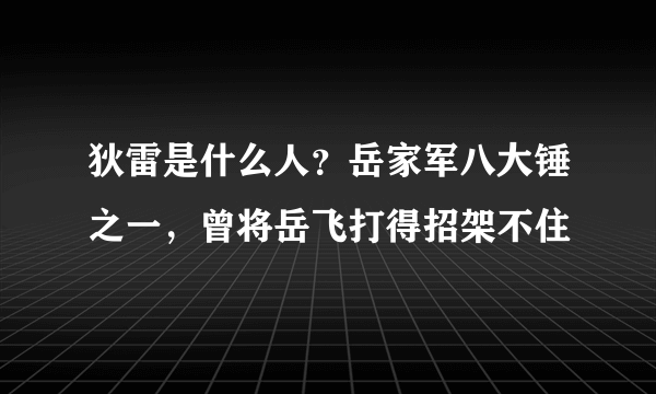 狄雷是什么人？岳家军八大锤之一，曾将岳飞打得招架不住