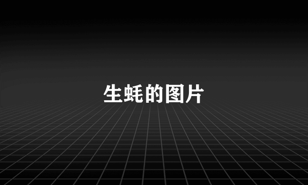 生蚝的图片