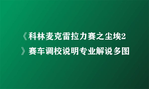 《科林麦克雷拉力赛之尘埃2》赛车调校说明专业解说多图