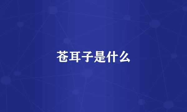 苍耳子是什么