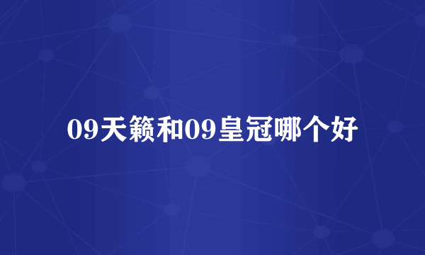 09天籁和09皇冠哪个好