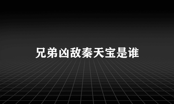 兄弟凶敌秦天宝是谁