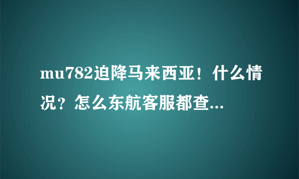 mu782迫降马来西亚！什么情况？怎么东航客服都查不到航班信息了？失踪了吗？