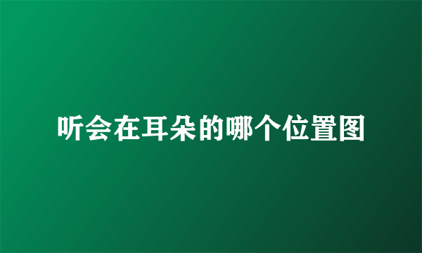 听会在耳朵的哪个位置图