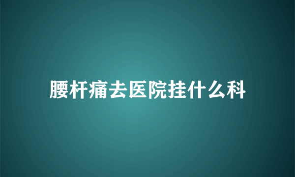 腰杆痛去医院挂什么科