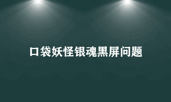 口袋妖怪银魂黑屏问题