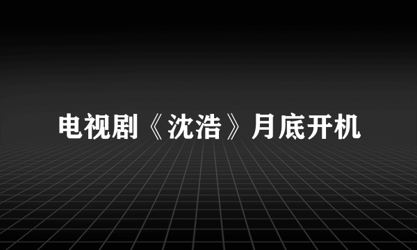 电视剧《沈浩》月底开机